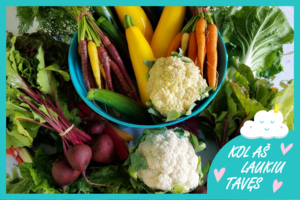 Mitai apie nėščiųjų mitybą: burokėliai gerokai pervertinti