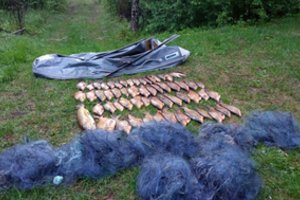 Daugiau nei 50 karšių sugavusiems tinklininkams teks susimokėti ne tik baudą: žala žuvų ištekliams siekia beveik 6 tūkst. eurų