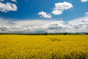 Intensyvūs lietūs kiek aprims: sinoptikai praneša, kur saulės spinduliais pavyks pasidžiaugti ilgiausiai