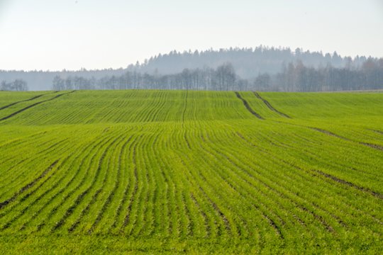 Ūkininkams paruoštas paramos paketas neariamajai žemdirbystei