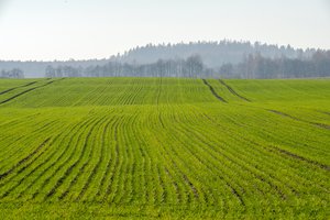 Ūkininkams paruoštas paramos paketas neariamajai žemdirbystei