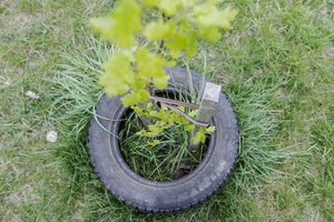 Suabejoję, ar statytojai įrengė pakankamai žaliųjų erdvių, gyventojai galės nesunkiai tą patikrinti 