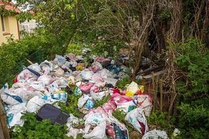 Panevėžys niekaip nesusitvarko su neprižiūrimų sklypų savininkais: tarp apsileidėlių – ir žinomas verslininkas