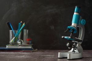 Paskutinė naktis prieš biologijos egzaminą: mokytojas išskyrė 6 svarbius dalykus, ką padaryti dar įmanoma