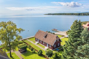 Turtuoliai Lietuvos pajūryje būsto žvalgosi itin atidžiai: nustebino, kas ten yra itin retas ir geidžiamas jų objektas 