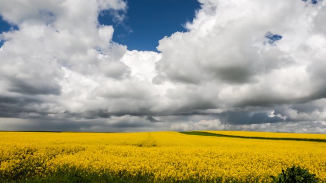 Puikios sinoptikų prognozės savaitgaliui: lietus nurims, temperatūra kils iki 22 laipsnių