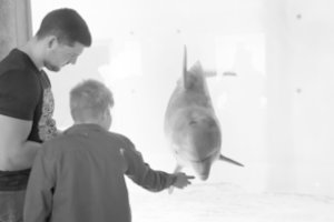 Vaikams su ypatingais poreikiais delfinų terapija daro stebuklus: kviečia jungtis prie akcijos