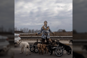 Ukrainos herojės nuotrauka apskriejo pasaulį su žinia, kad ji negyva: atskleidė baisiausią gyvūnų gelbėjimo operaciją