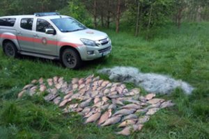 Aplinkosaugininkų išvengti nepadėjo net termovizoriai: teks atlyginti beveik 10 tūkst. eurų siekiančią žalą gamtai