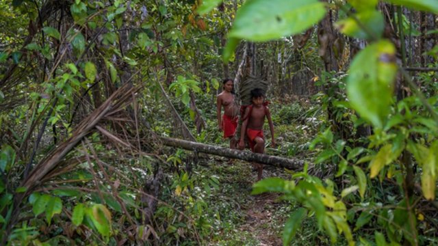 Nežinomybė, kurstanti šiurpiausius scenarijus: Amazonės džiunglėse paslaptingai dingo du aktyvūs visuomenės veikėjai