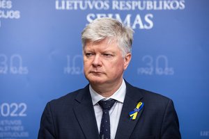 Seimas atidėjo sprendimą dėl žemės ūkio ministro K. Navicko interpeliacijos