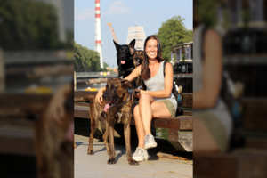 Į prieglaudas patekę augintiniai – paženklinti tą pačią dieną randa namus, neženklinti gali likti narve visam laikui