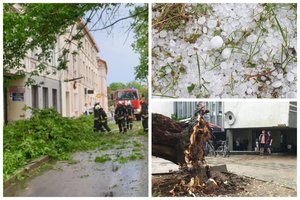 Per Lietuvą slenka stipri kruša ir škvalas, vėjas varto medžius