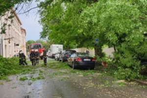 Per audrą išversti medžiai apgadino 8 automobilius, užtvėrė kelius