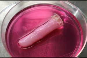 Vienus džiugina, kitus gali išgąsdinti: sukūrė roboto pirštą su gyva oda