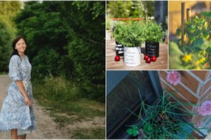 Augalų entuziastė išskyrė, kurios daržovės geriausiai auga daugiabučių balkonuose: štai kas svarbiausia