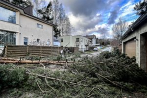 Škvalo atgarsiai: draudikai nespėja suktis, o sinoptikai gerų žinių neturi