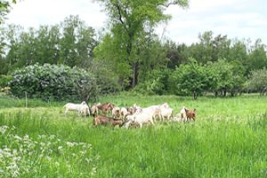 Kaip gyveno Lietuva per savaitę: nuo Visagino iki pajūrio