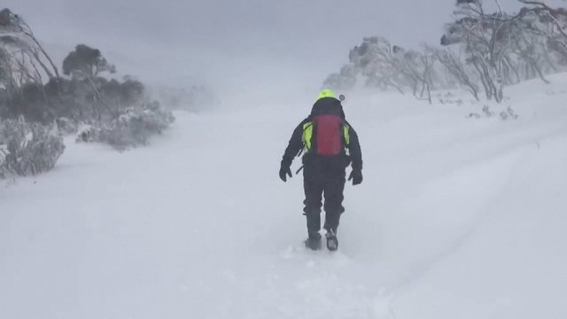 Australijos kalnuose prasidėjusi pūga sukėlė pavojų žygiuotojų gyvybei: teko gelbėti aštuonis žmones