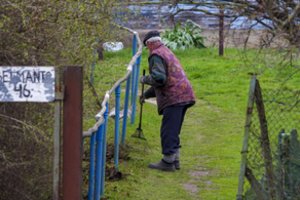 Praneša, kiek ir kaip nuo vasaros keičiasi pensijos