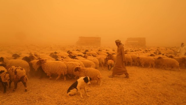 Smėlio audros nesiliauja paralyžiavusios Irako: matomumas sumažėjo iki kelių šimtų metrų