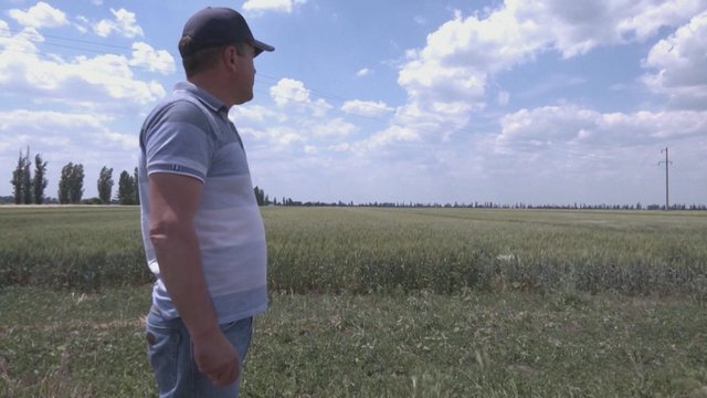 Ūkininkai priversti koreguoti darbus: dėl Rusijos pradėto karo Ukraina neteko 25 proc. dirbamos žemės