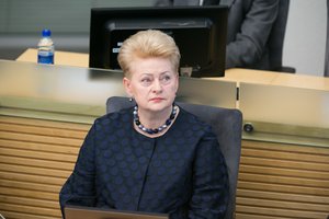 D. Grybauskaitė įvertino batalijas Seime: jų pareiga yra dirbti savo darbą