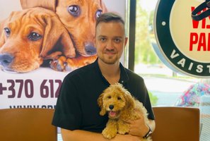 Jei nepasirūpinote tinkama apsauga, šių simptomų ignoruoti nevalia, kitaip augintinio galite netekti