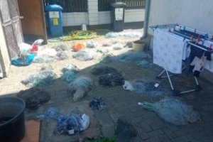Išaiškintas tinklais prekiavęs pažeidėjas: gresia 1200 eurų siekianti bauda