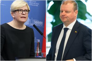 Seimui išgyvenant krizę valdantieji žada papildyti komitetus savo atstovais, o S. Skvernelis atkerta premjerės žodžiais: „ponų valia“