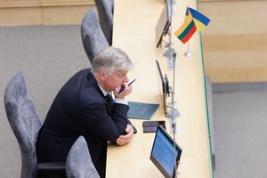 K. Navickas: nereikėtų tiesiogiai sieti mano interpeliacijos su opozicijos skilimu