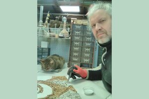 Koliaže iš nuorūkų – V. Putino veidas ir ekocido grėsmė