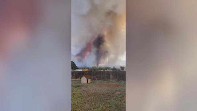Sulaikytas gaisrą Arizonos miškuose sukėlęs įtariamasis: manoma, vyras išmetė padegtą tualetinį popierių