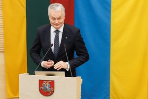 Politologai žarstė pastabas G. Nausėdos išsakytai kritikai valdantiesiems: ji – abstrakti 