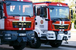 Lietuvos ugniagesiai skubėjo gelbėti į vandens ir medžio spąstus pakliuvusius gyvūnus