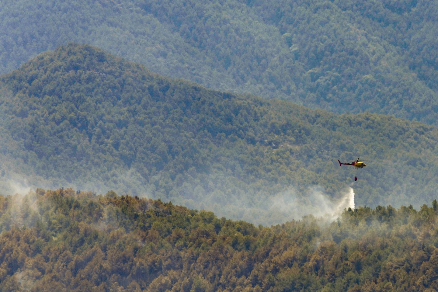 Miškų gaisrai Ispanijoje. <br>EPA-ELTA nuotr. 