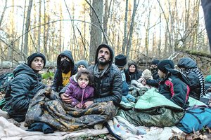 Kančios Baltarusijos pasienyje neatbaidė migrantų: patekti į Europą siekia bet kokia kaina