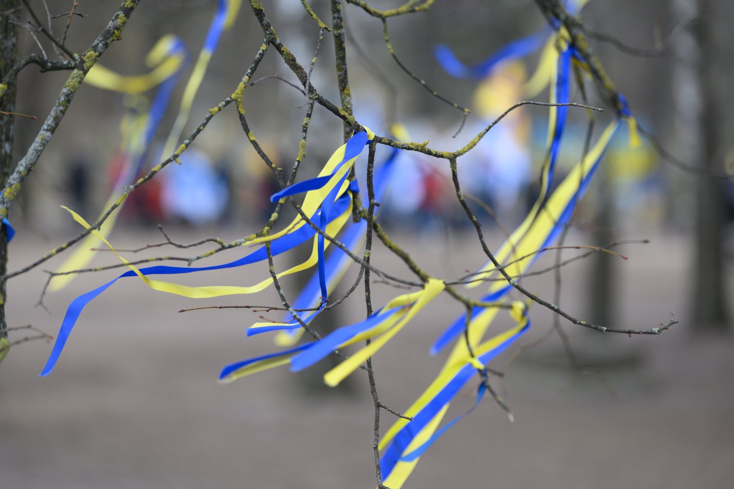 Balkone pakabinta Ukrainos vėliava užtraukė namo pirmininko rūstybę: grasino susidorojimu.<br>V.Skaraičio asociatyvi nuotr.