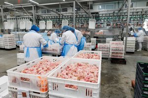 Siūlo net nebesitikėti tokių pačių šių prekių kainų netolimoje ateityje: prognozuojama, kad jos kops į viršų