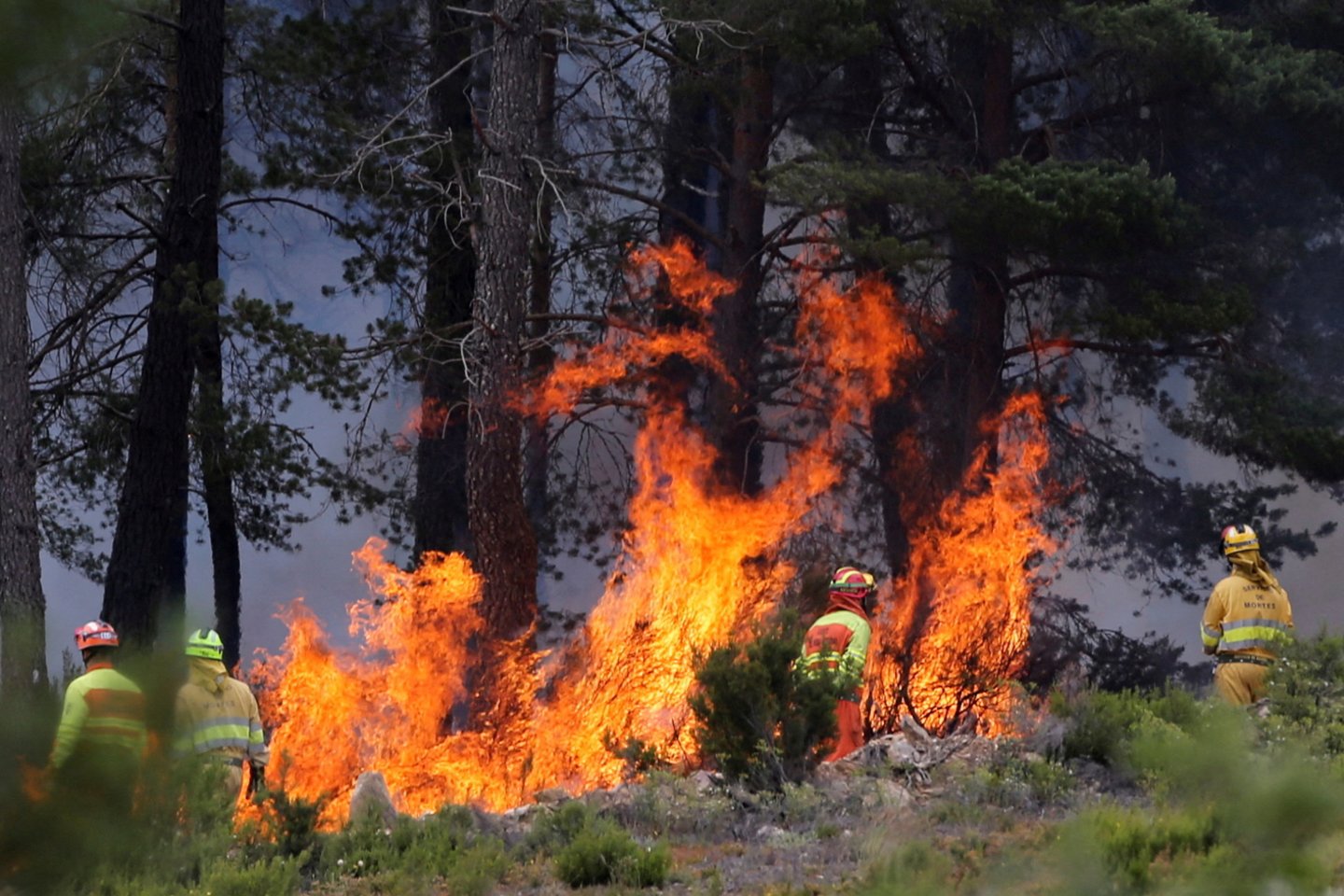 Miško gaisras Ispanijoje.<br>Reuters/Scanpix nuotr.