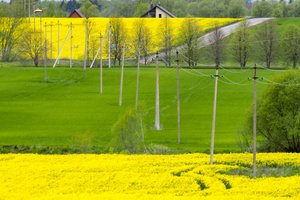 Įvardijo tris apylinkes, kuriose yra daugiausia apleistų sklypų, Vilniaus rajonas – tarp jų