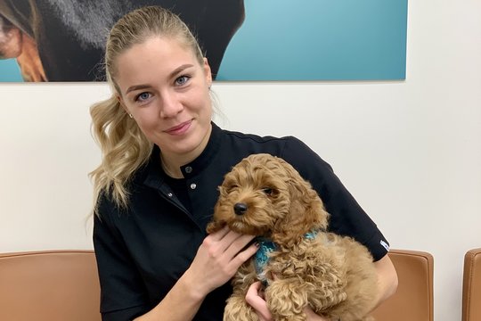 Šios klaidos gali apkartinti jūsų atostogas su augintiniu: įvardijo, kas kelia ypač rimtą pavojų