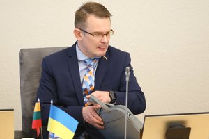 A. Dulkys: ministerija skųs teismo sprendimą grąžinti atleistą NVSPL vadovą į darbą