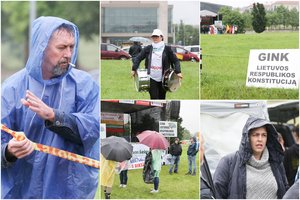 Šeimų sąjūdis vėl protestuoja prie Seimo: pasisakyti atėjo ir opozicinių frakcijų nariai, prastas oras mitinguotojų gretas praretino
