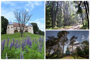 Lankomiausios vietos gamtos apsuptame Dieveniškių krašte: pasiekti galite ir dviračiu, ir automobiliu