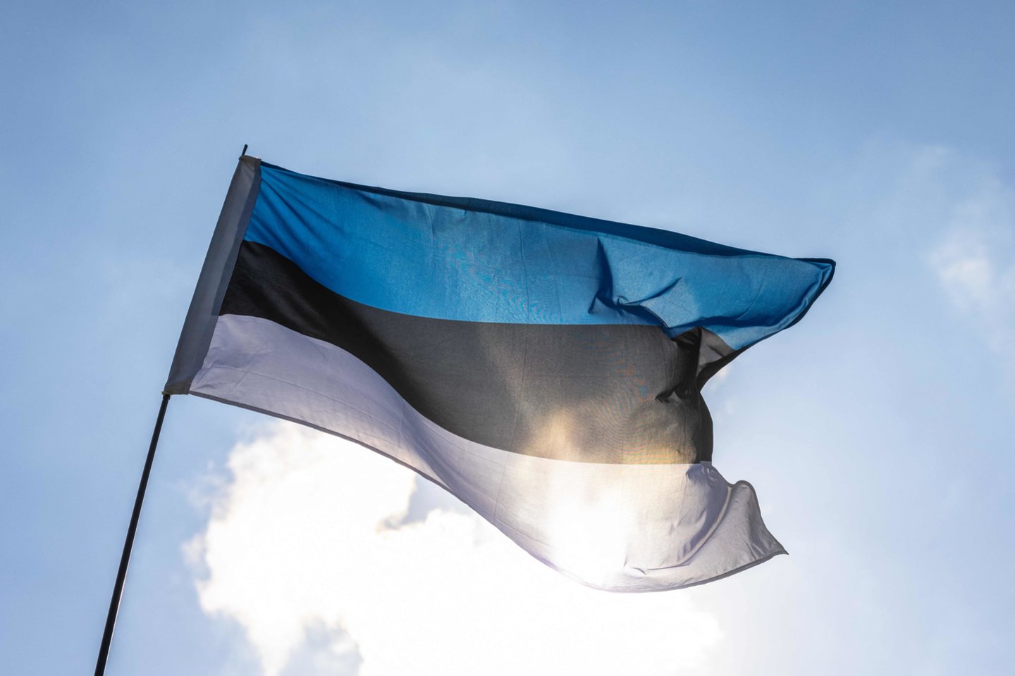 Estijos vėliava.<br>AFP/Scanpix nuotr.