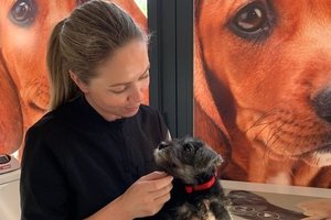 Veterinarijos gydytoja dar kartą apie tai, kodėl būtina ženklinti augintinius, ir kada gailisi to nepadariusieji
