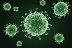 Norvegija skelbia nustačiusi pirmąjį paukščių gripo atvejį Arktyje