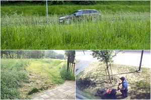 Jau nesupranta Vilniaus valdžios plano: palikti žolės lopai, styrantys stagarai arba skutamas net smėlis