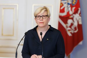I. Šimonytė: Europos Komisija atsiuntė dokumentą, kuris turi labai daug neaiškumų